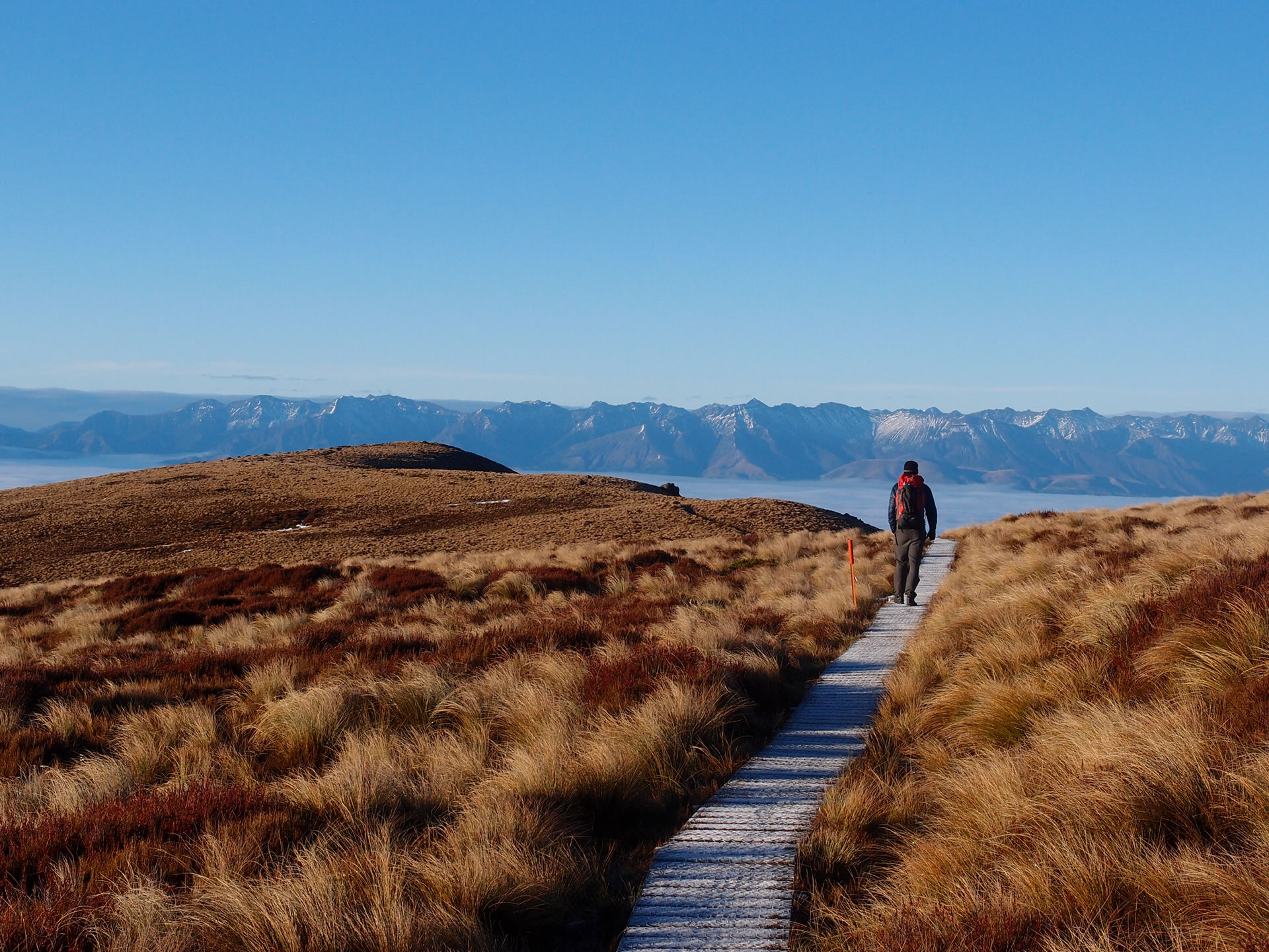 7 Must-Do Fiordland Events During Off-Season