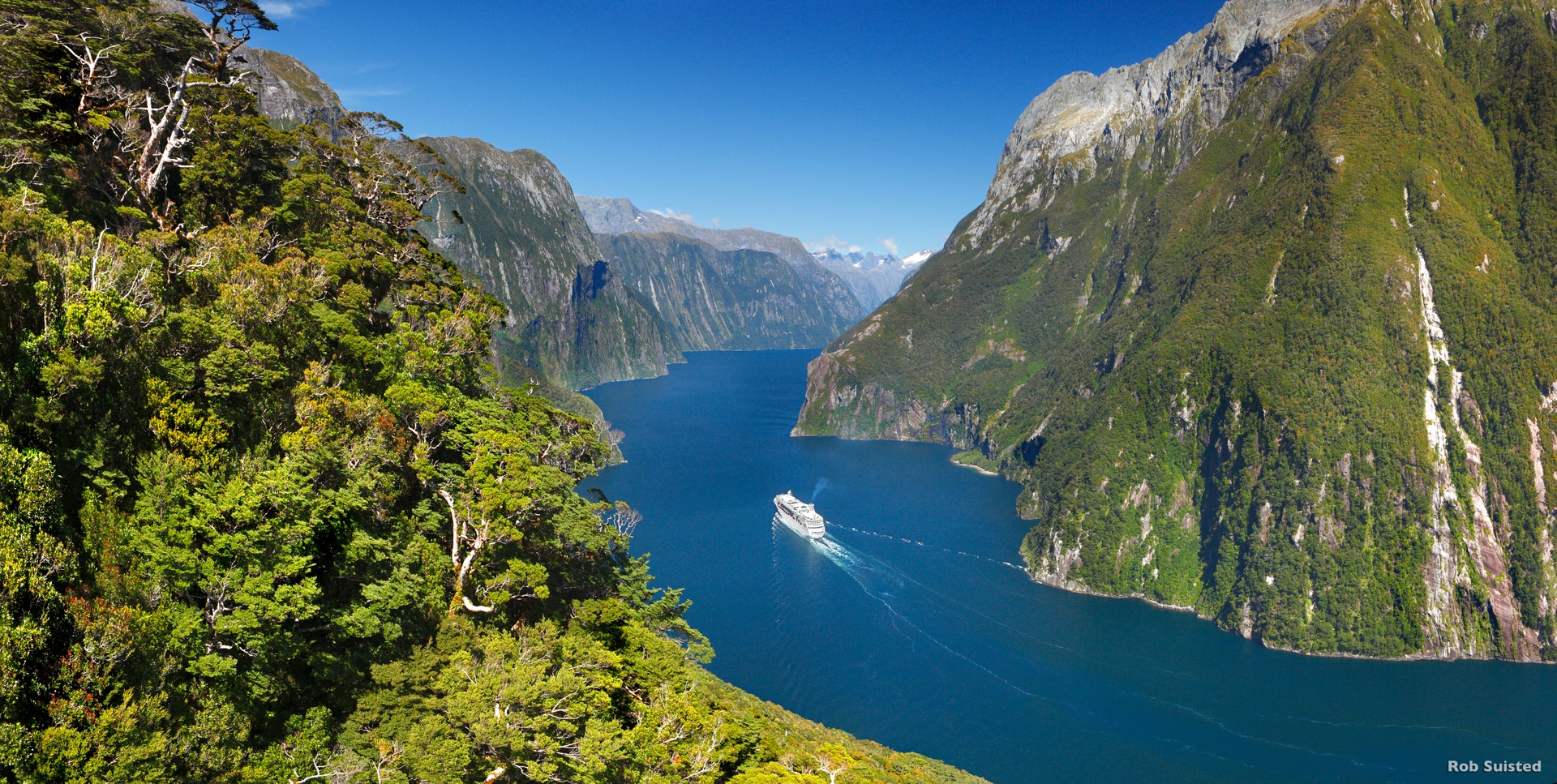 Milford Sound for New Zealanders: What to expect