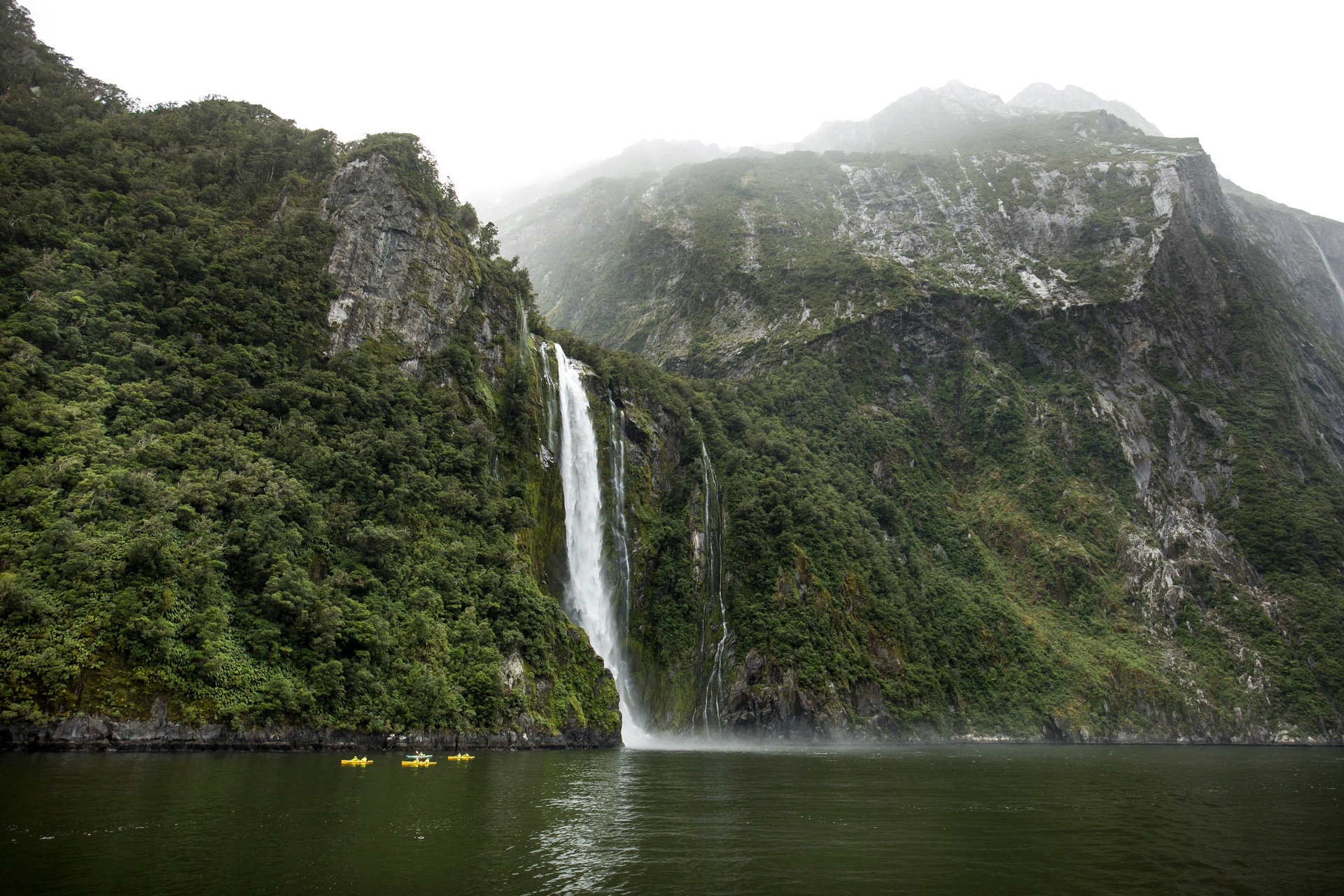5 Surprising Facts about Fiordland That Even Kiwis Don’t Know